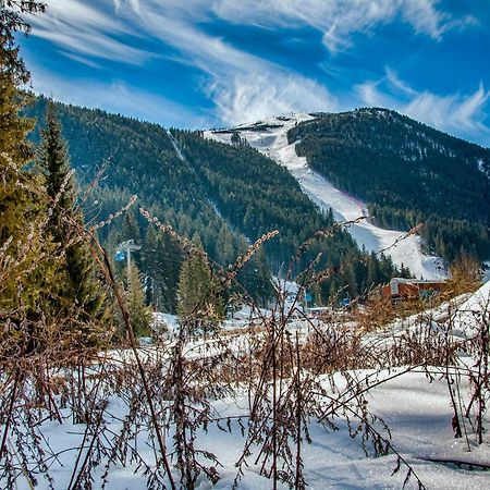 Efo Apartment Bansko Dış mekan fotoğraf