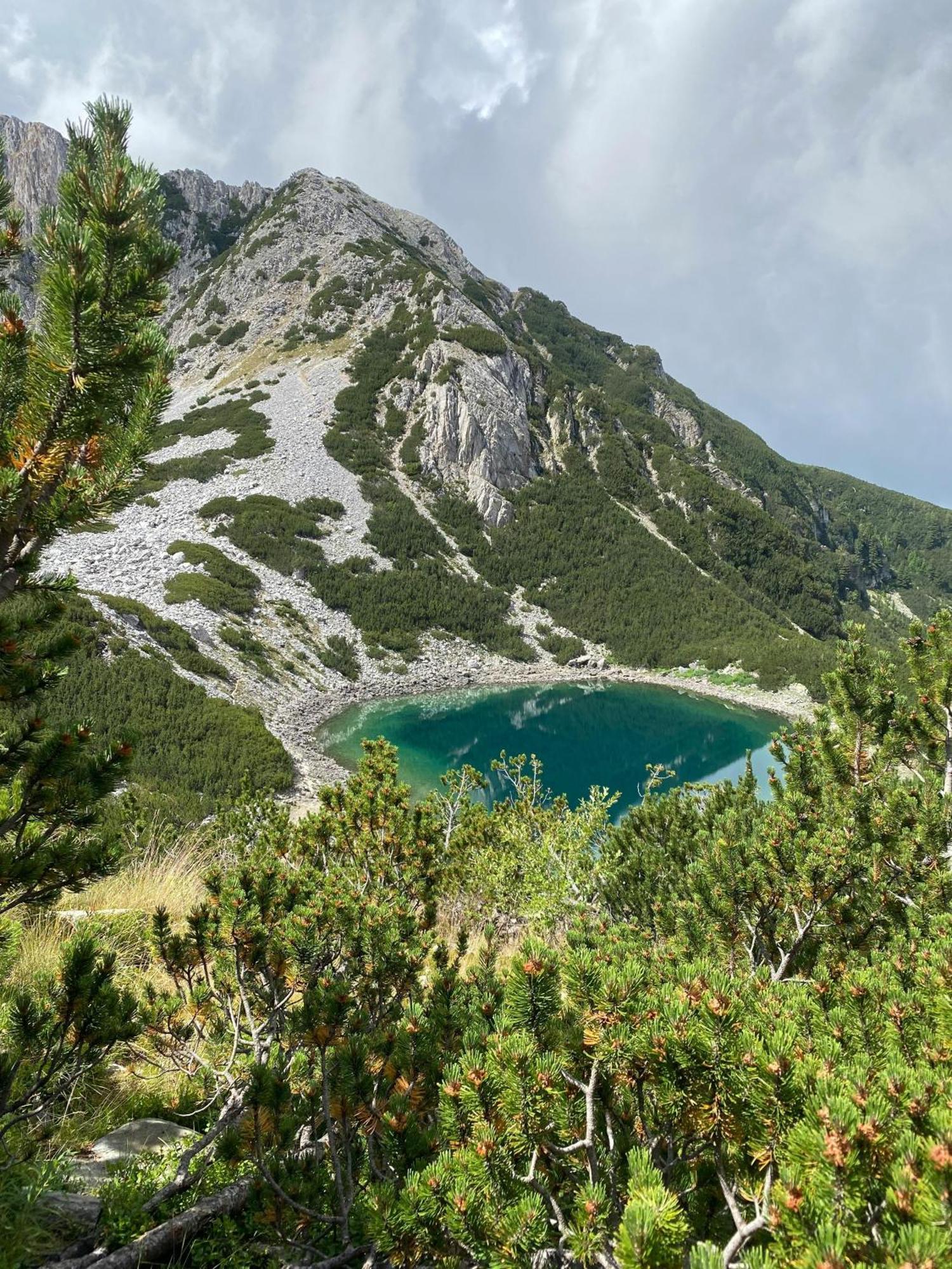 Efo Apartment Bansko Dış mekan fotoğraf